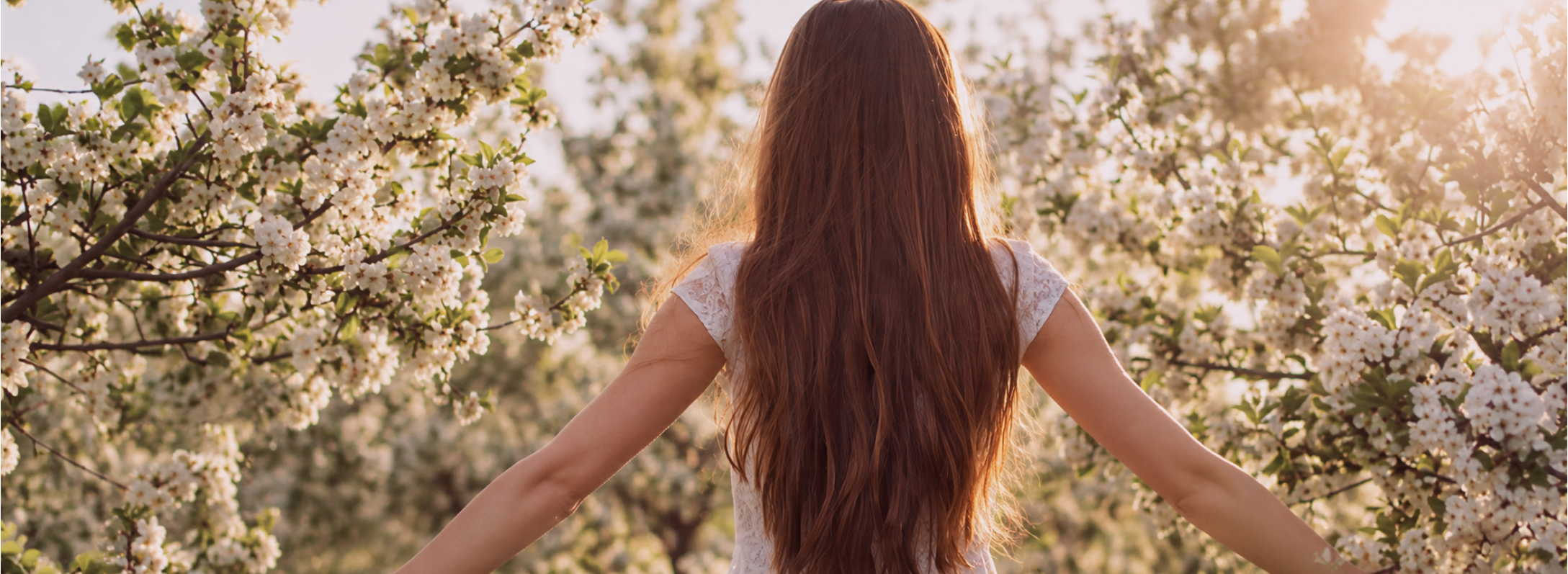 home header